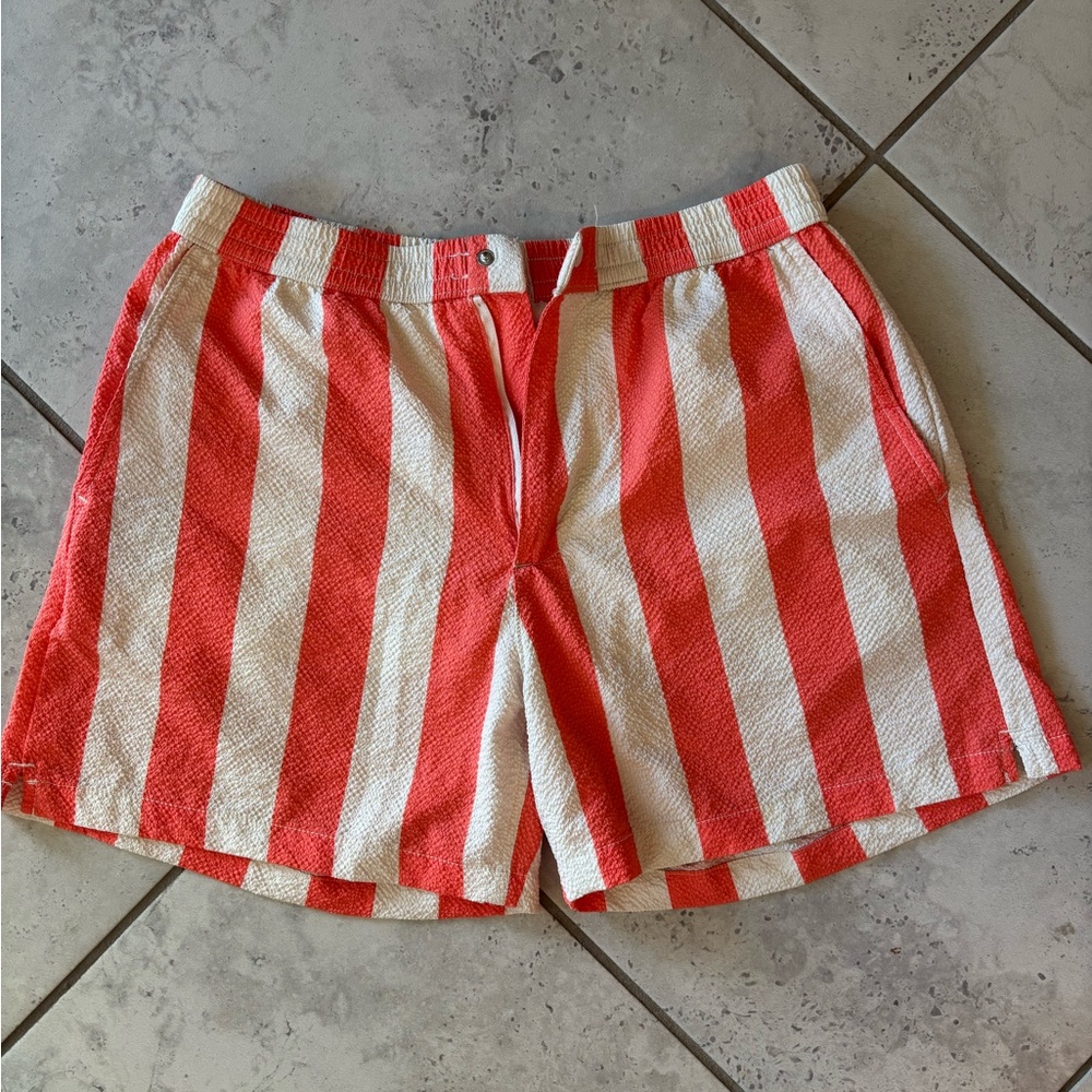 Zara Men’s Striped Shorts